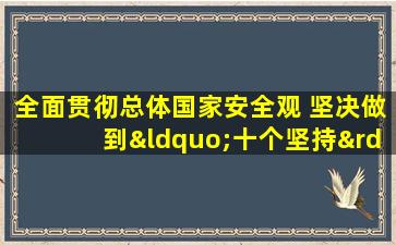 全面贯彻总体国家安全观 坚决做到“十个坚持”